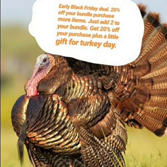 Black Friday Sale - Picture 1 of 1